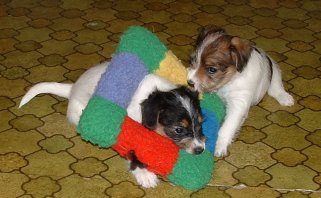 Vanessa r�ddar Viktoria fr�n monster