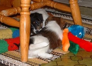 Leksaker �r j�ttkul