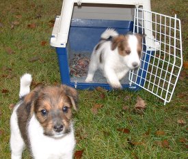 Full fart n�r vi kommer ur buren