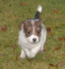 Full fart p� Vanessa