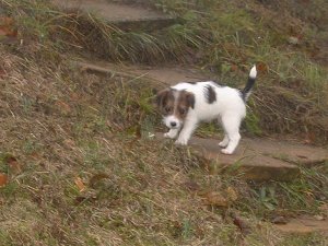 Vanessa p� h�gre h�jd