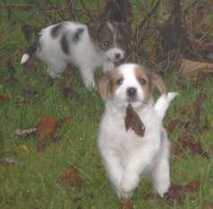 Viktor visar stolt upp f�ngat l�v