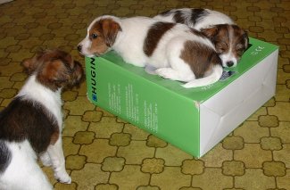 En till vill sova p� l�da