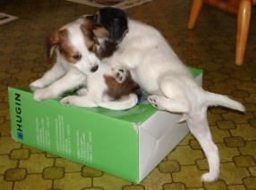 Tr�ngt p� l�dan