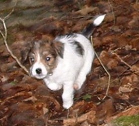 Vanessa har br�ttom