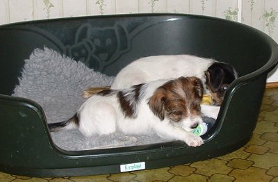 Vanessa testar att f� upp korken