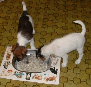 Sista m�ltiden tillsammans...