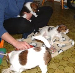 "Molly" p� sin nya filt