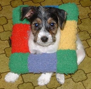 Viktoria med st�td�mpare