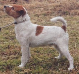 Jackson's Hj�sta Anka