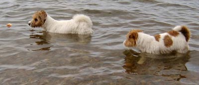Vicki och Molly �land juni 2003