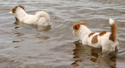 Vicki och Molly �land juni 2003