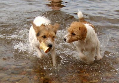 Vicki och Molly �land juni 2003
