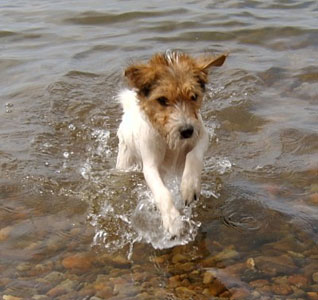 Vicki �land juni 2003