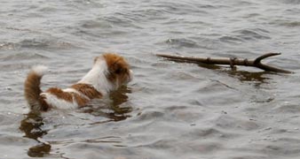 Molly �land juni 2003