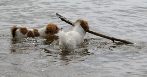 Vicki och Molly �land 2003