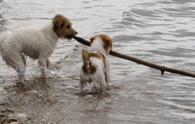Vicki och Molly �land juni 2003