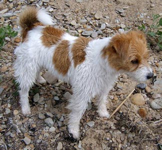 Molly �land juni 2003