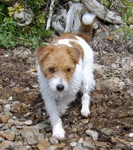 Molly �land juni 2003