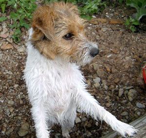 Vicki �land juni 2003