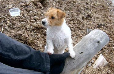 Vicki �land juni 2003