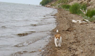 Molly �land juni 2003