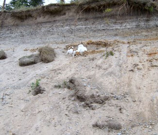 Vicki och Molly �land juni 2003