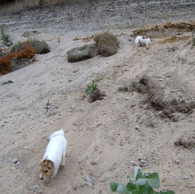 Vicki och Molly �land 2003