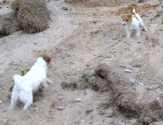 Vicki och Molly �land juni 2003