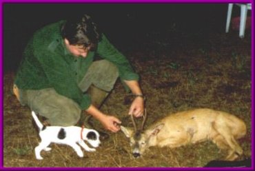 Husse visar r�djur