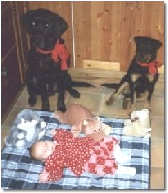 Raros G�sta med kompisen Pripps och lillmatte!