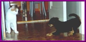 F�rs�ka kan man ju alltid...