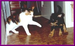 ...men det lyckas inte varje g�ng...