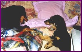 Men man m�ste ju testa...