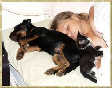 "Småttingarna sussar"