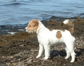 Molly �land 22 mars 2003