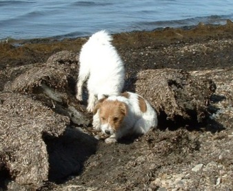 Vicki och Molly �land 22 mars 2003