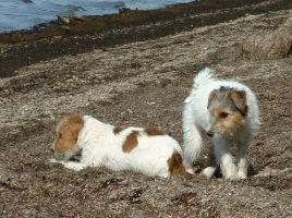 Vicki och Molly �land 22 mars 2003