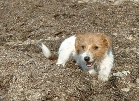 Molly �land 22 mars 2003