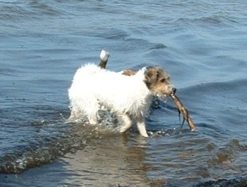 Vicki och Molly �land 22 mars 2003