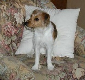 Hj�rdis april 2003