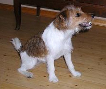 Hj�rdis april 2003