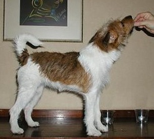 Hj�rdis april 2003