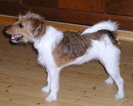 Hj�rdis april 2003