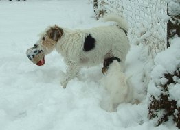 Prillan f�rs�ker lura Vicki p� bollen