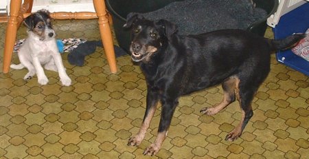 Tikka 14 �r och Vicki