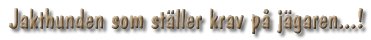 Jakthunden som st�ller krav p� j�garen...!