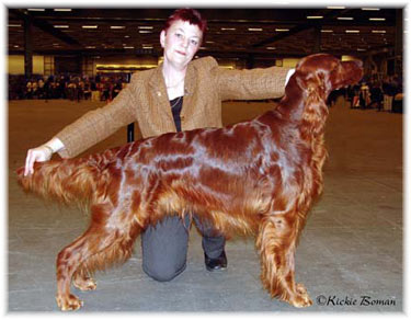 Danamoor Jack Of Diamonds