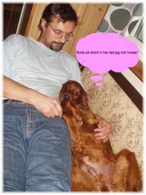 Husse Stefan & Theo