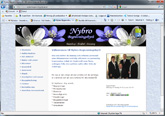 Nybro Begravningsbyr�
